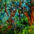 An LA Garden