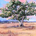 Lone Oak
