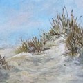 Sand Dunes and Salty Air