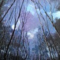 Starlight